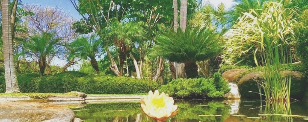 Jardín de Eventos Ramayana